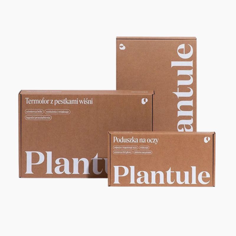 Custom Printed Mailer Box